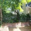 19 Bruce Street, COOKS HILL, NSW 2300 AUS